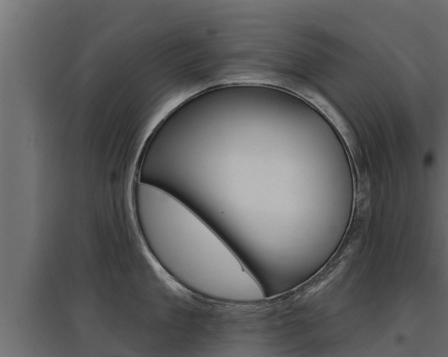 X0000097770909200803070858