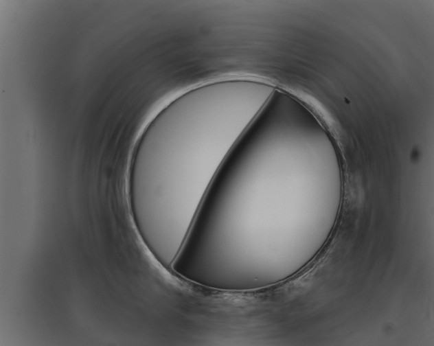 X0000097770910200803070858