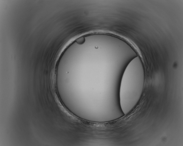 X0000097770911200803070858
