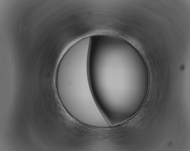 X0000097770912200803070858