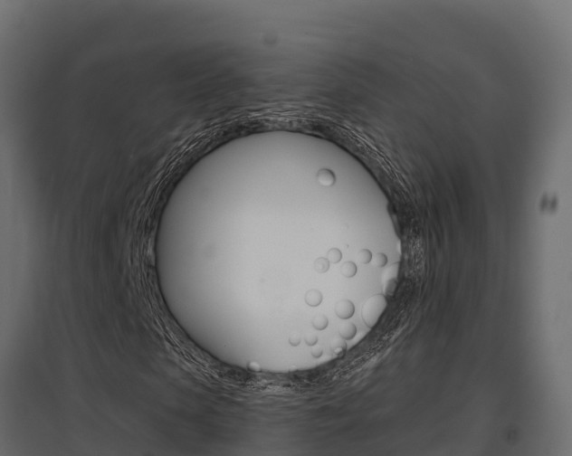 X0000097770913200803070857