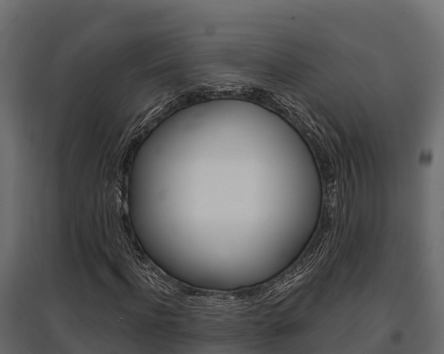 X0000097770916200803070857