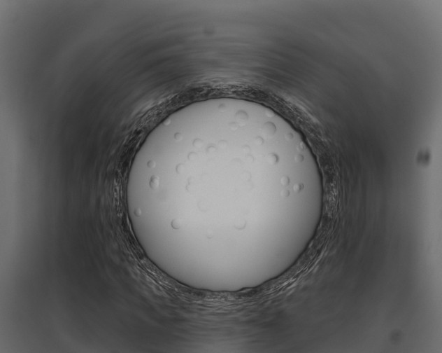 X0000097770917200803070857