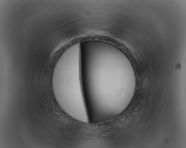 X0000097770919200803070857