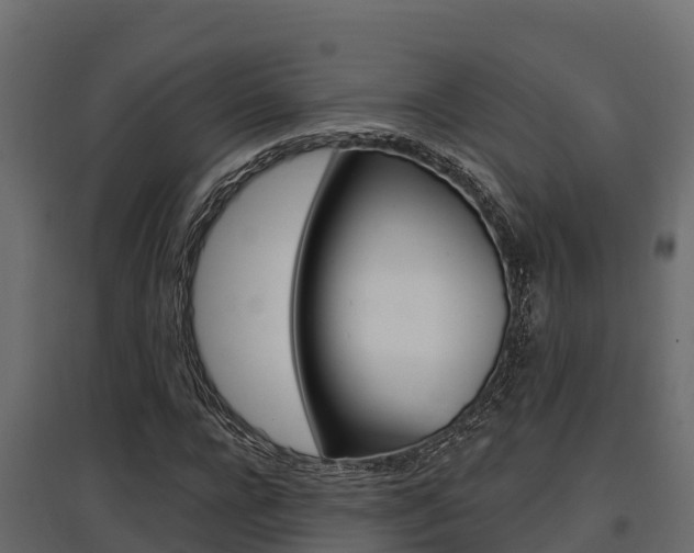 X0000097770920200803070857