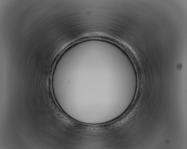 X0000097770921200803070857