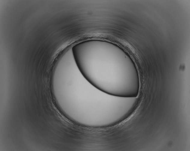 X0000097770922200803070857