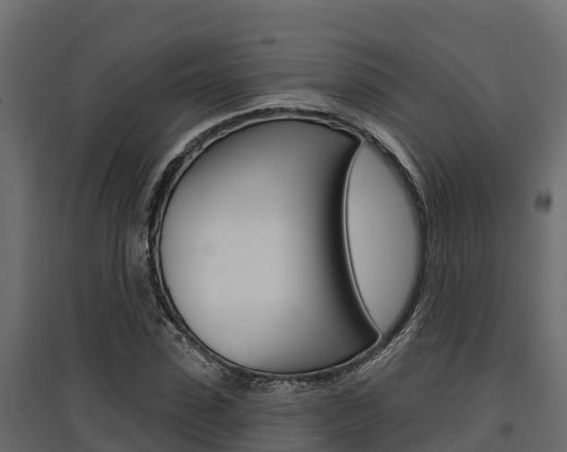 X0000097770923200803070857