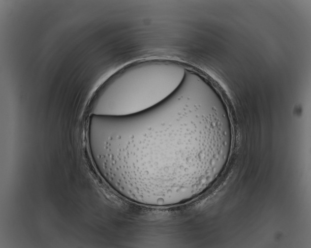 X0000097770925200803070857