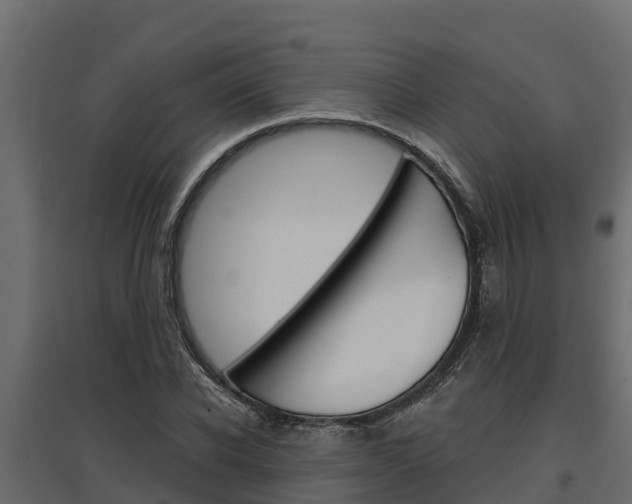 X0000097770926200803070857