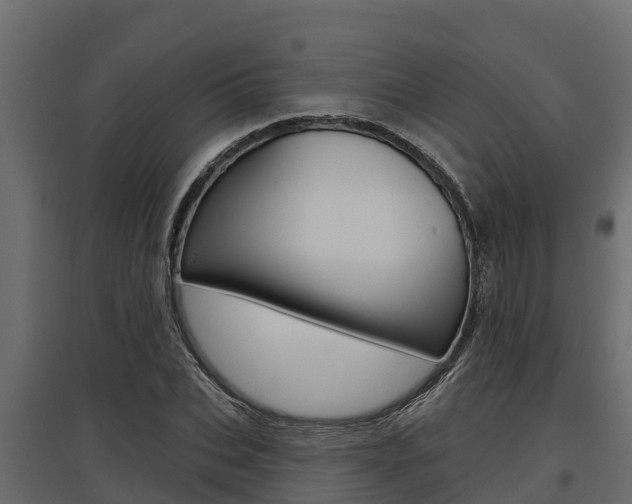 X0000097770927200803070857