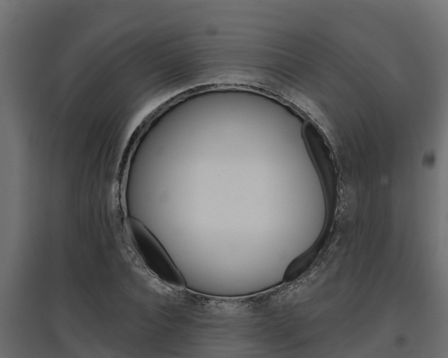 X0000097770928200803070857