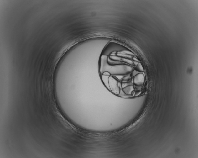X0000097770930200803070857
