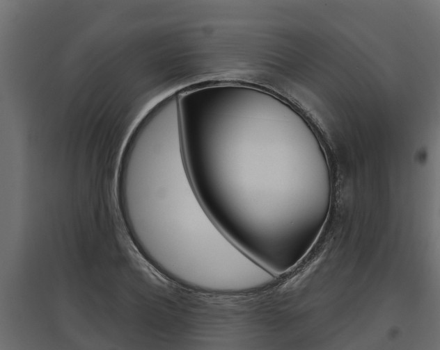X0000097770932200803070857