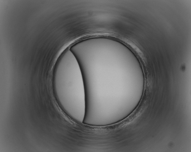 X0000097770933200803070857