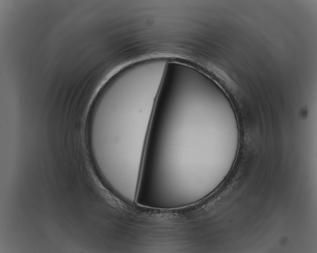 X0000097770934200803070857