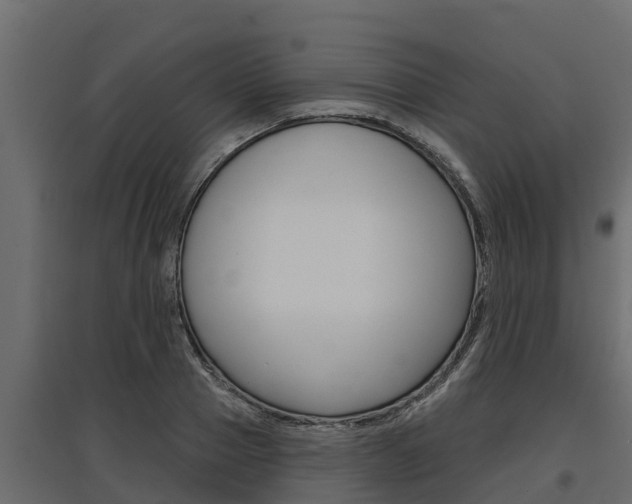 X0000097770937200803070857