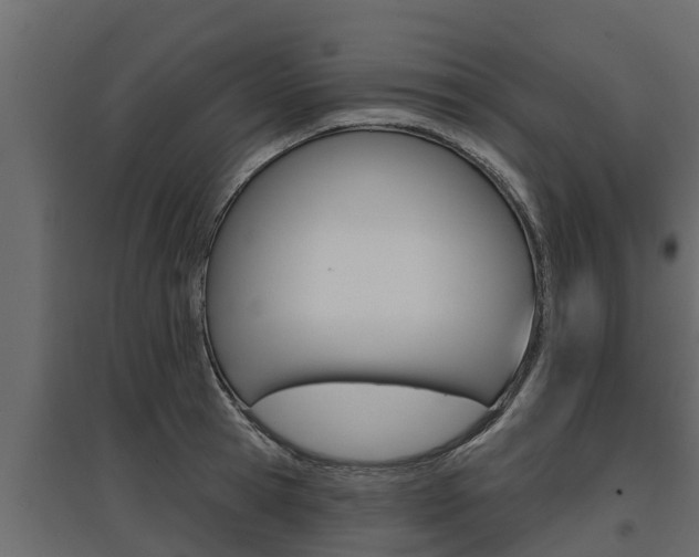 X0000097770945200803070857