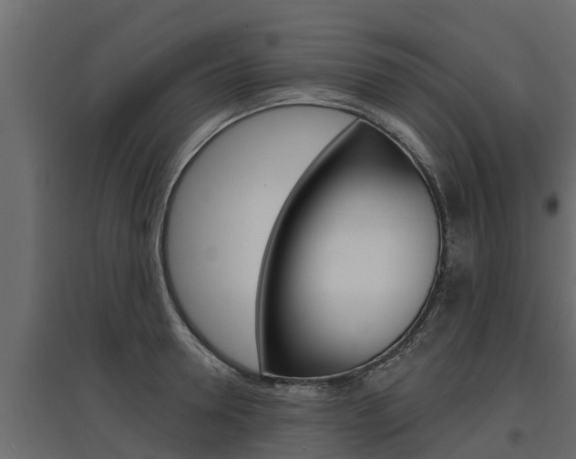 X0000097770946200803070857