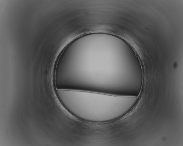 X0000097770949200803070857