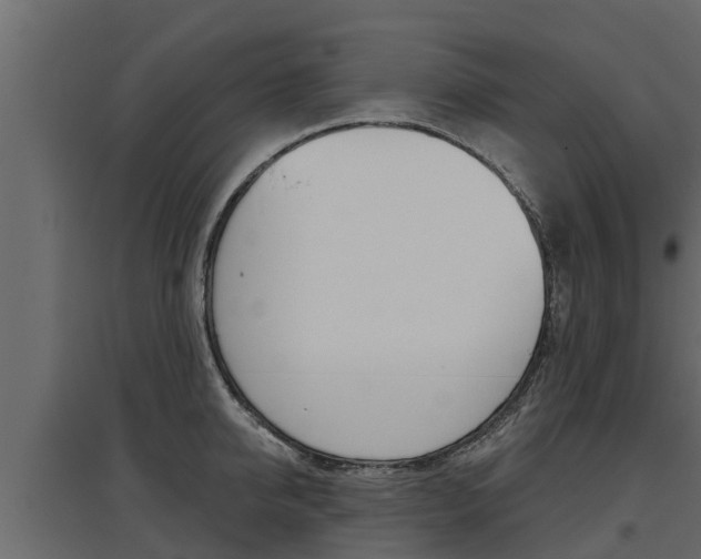 X0000097770950200803070857