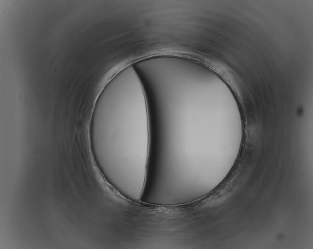 X0000097770954200803070857