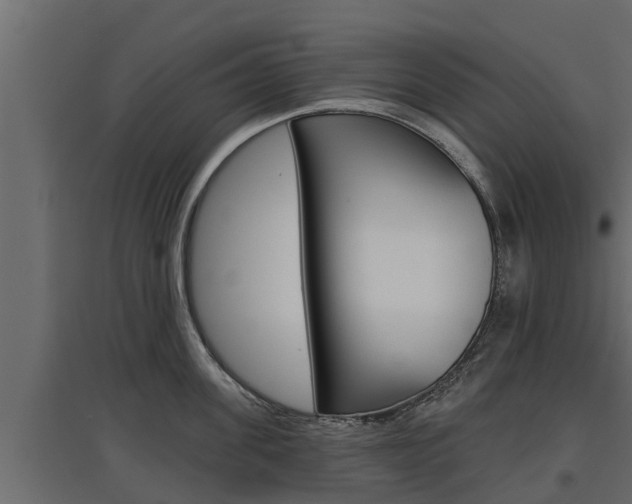 X0000097770955200803070857