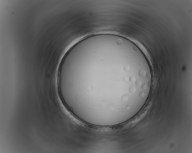 X0000097770957200803070858