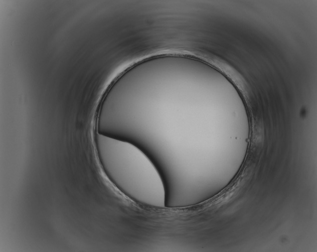 X0000097770958200803070858