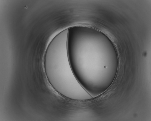 X0000097770960200803070858