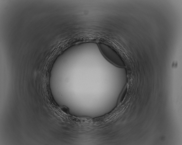 X0000097770961200803070857
