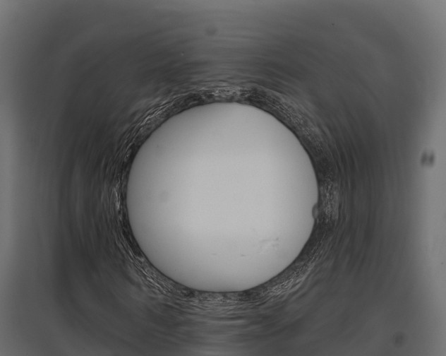 X0000097770962200803070857