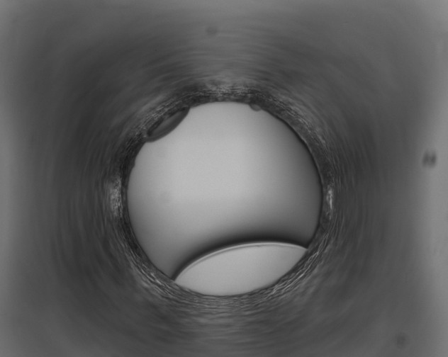 X0000097770963200803070857