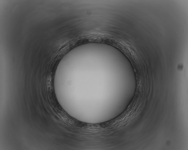 X0000097770964200803070857
