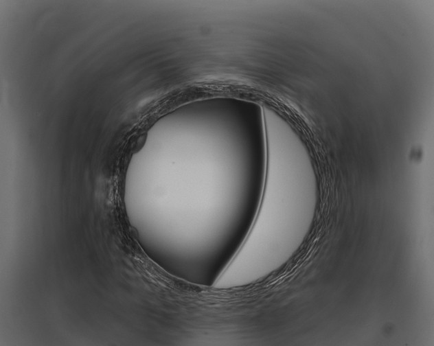 X0000097770965200803070857