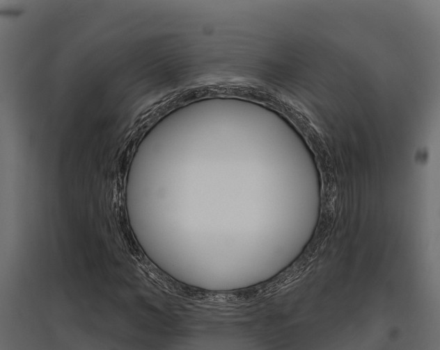 X0000097770966200803070857