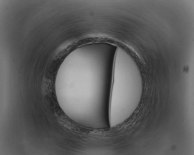 X0000097770967200803070857