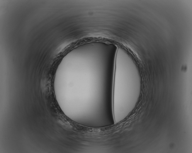 X0000097770968200803070857