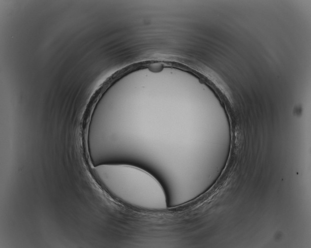 X0000097770972200803070857