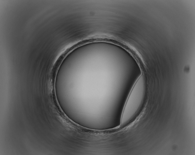 X0000097770973200803070857