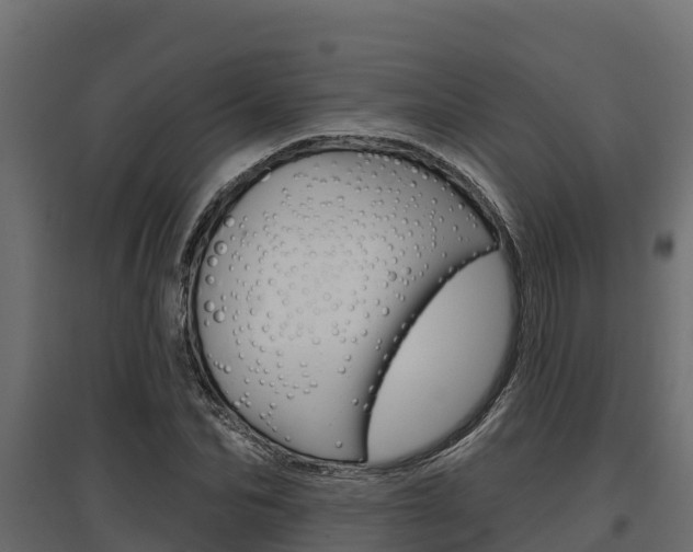 X0000097770974200803070857