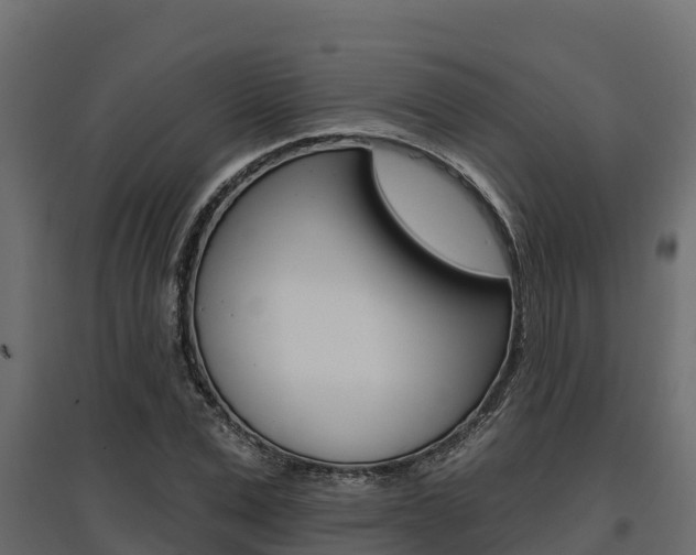 X0000097770975200803070857