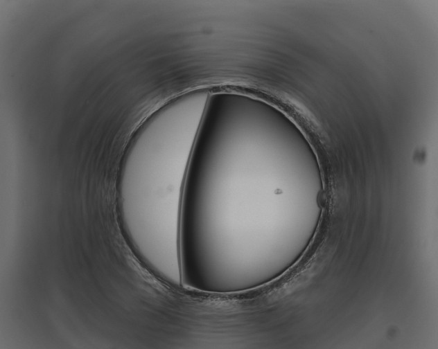 X0000097770977200803070857