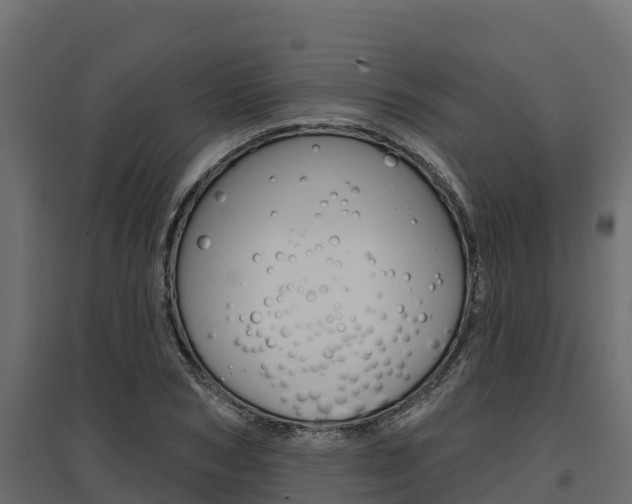 X0000097770978200803070857