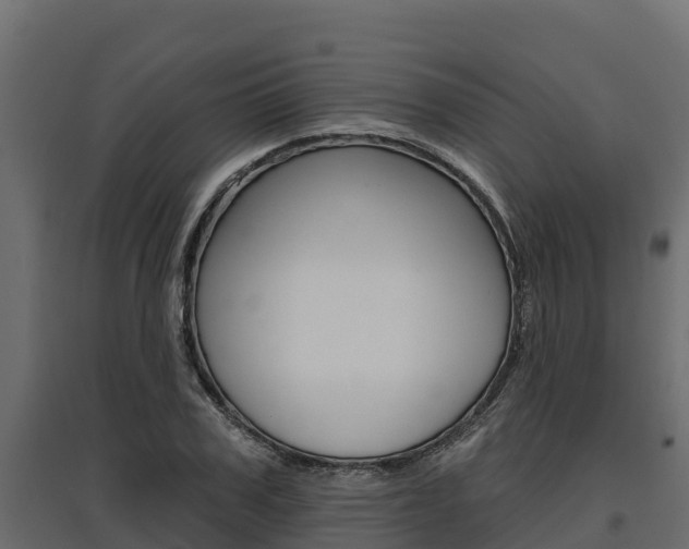 X0000097770979200803070857