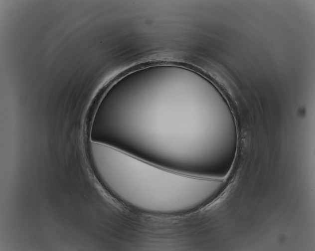 X0000097770981200803070857