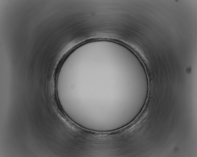 X0000097770982200803070857