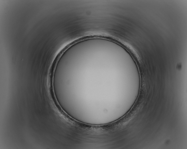 X0000097770983200803070857