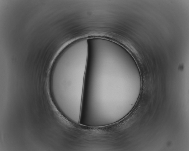 X0000097770984200803070857