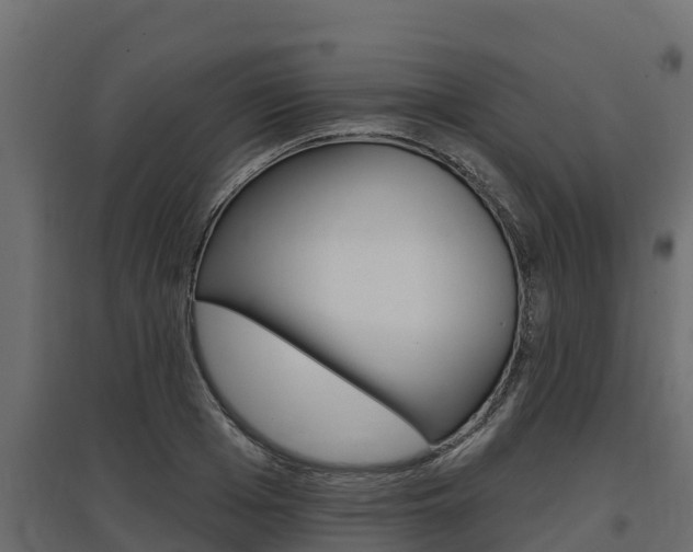 X0000097770985200803070857